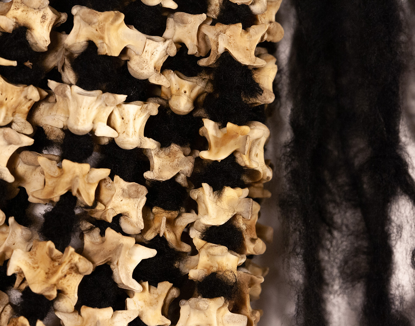 Strands of python vertebrae bones knotted on strips of yarn and draping like a large necklace