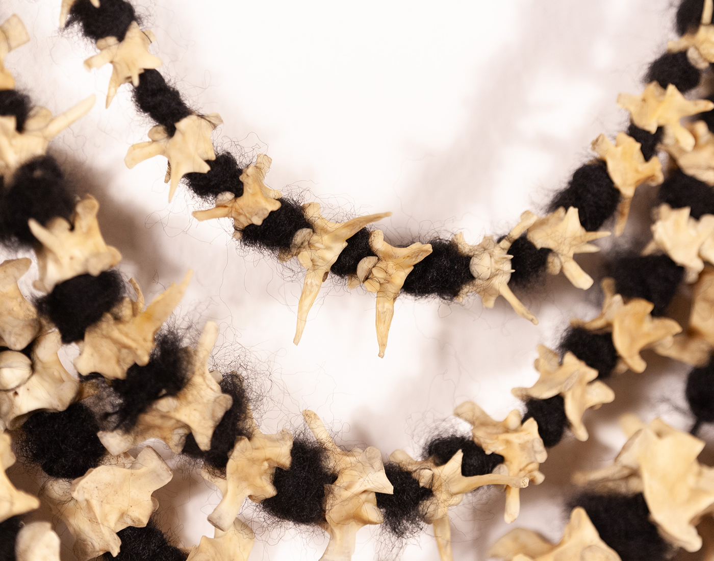 Strands of python vertebrae bones knotted on strips of yarn and draping like a large necklace
