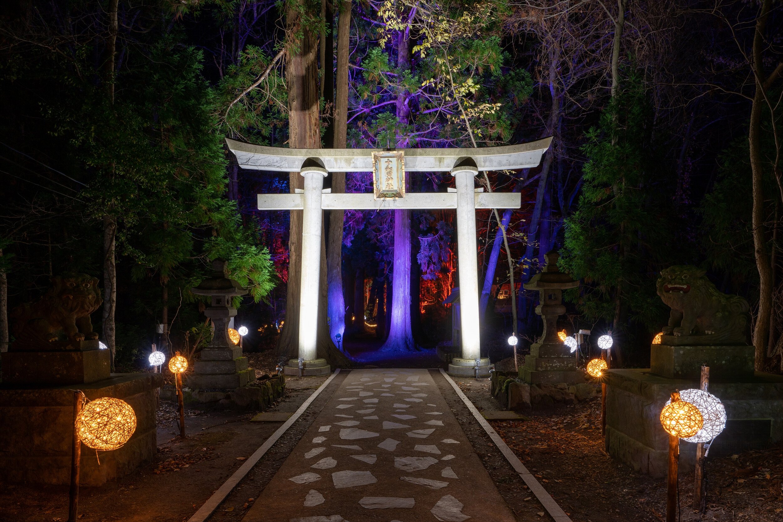 撮影 / 小山田邦哉