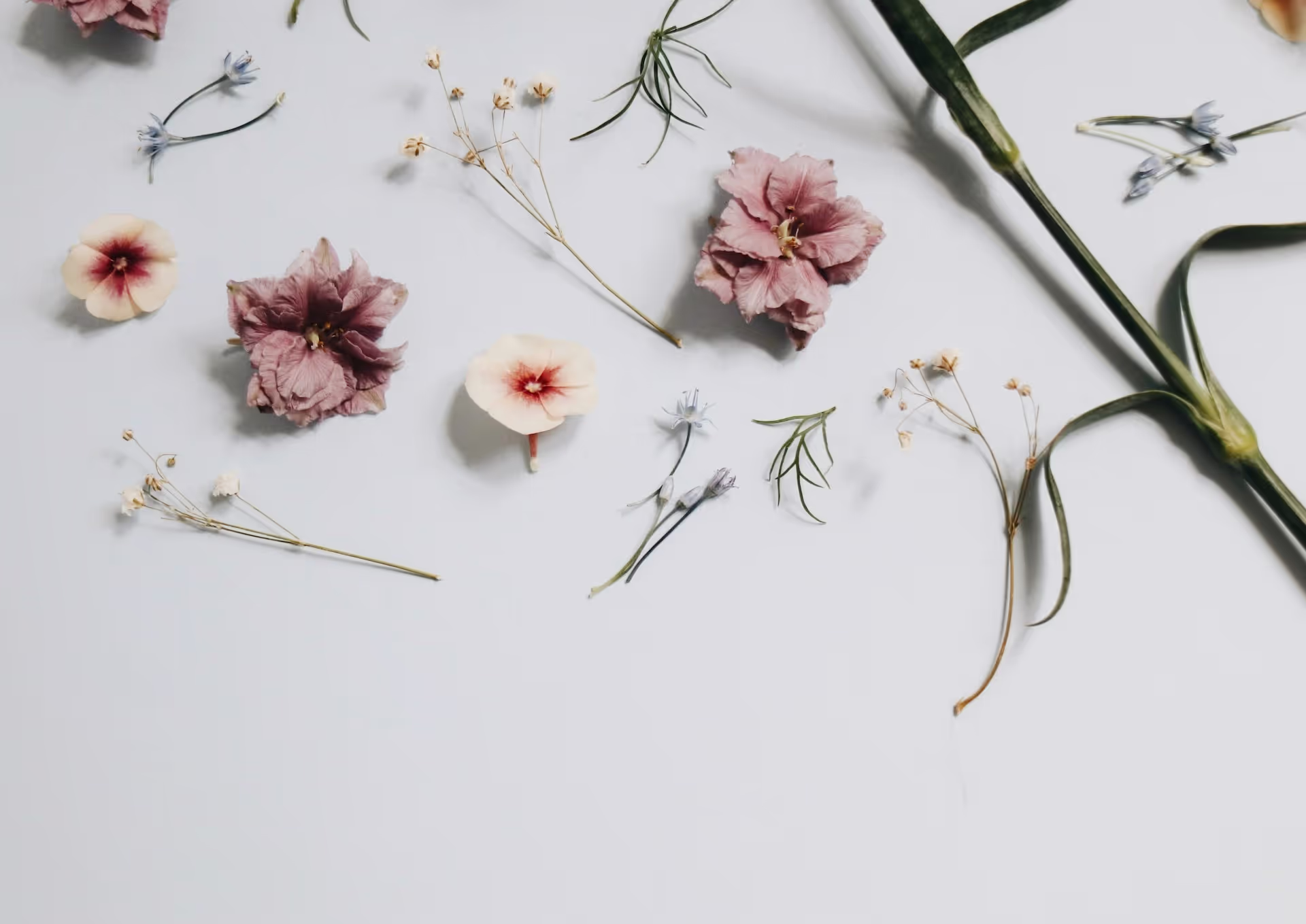 Minimalist Web Design: Less is More for Malaysian Businesses