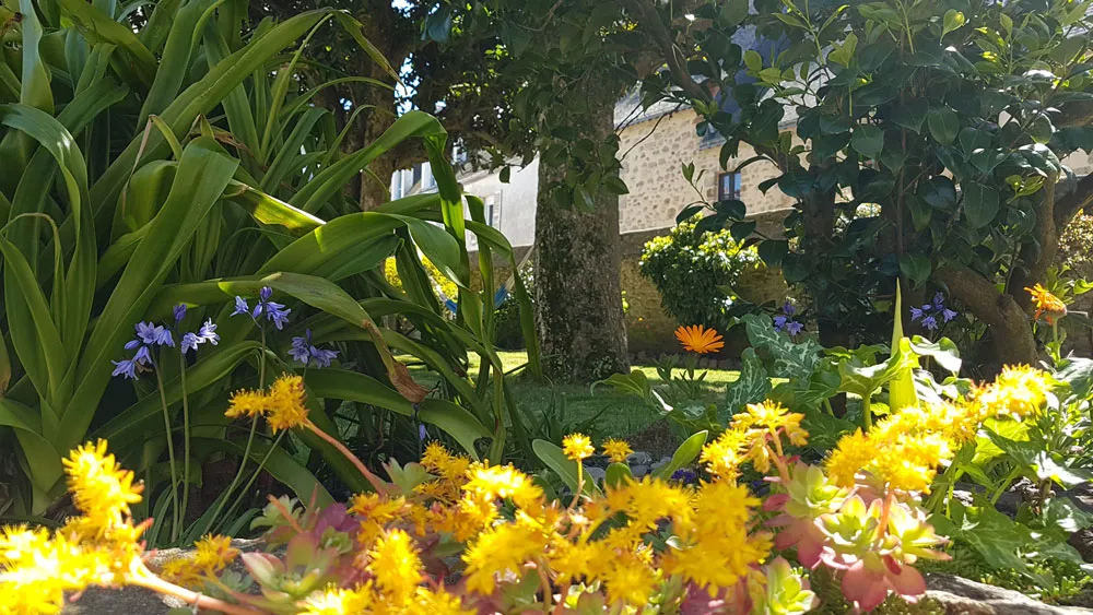 greenery-garden