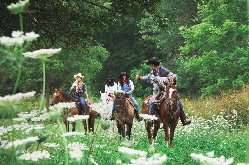 four people are on a horse trail ride through Caledon. there are green trees surrounding them, with white flowers in the foreground