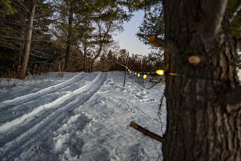 Kettle Links Light Trail at Osprey Valley