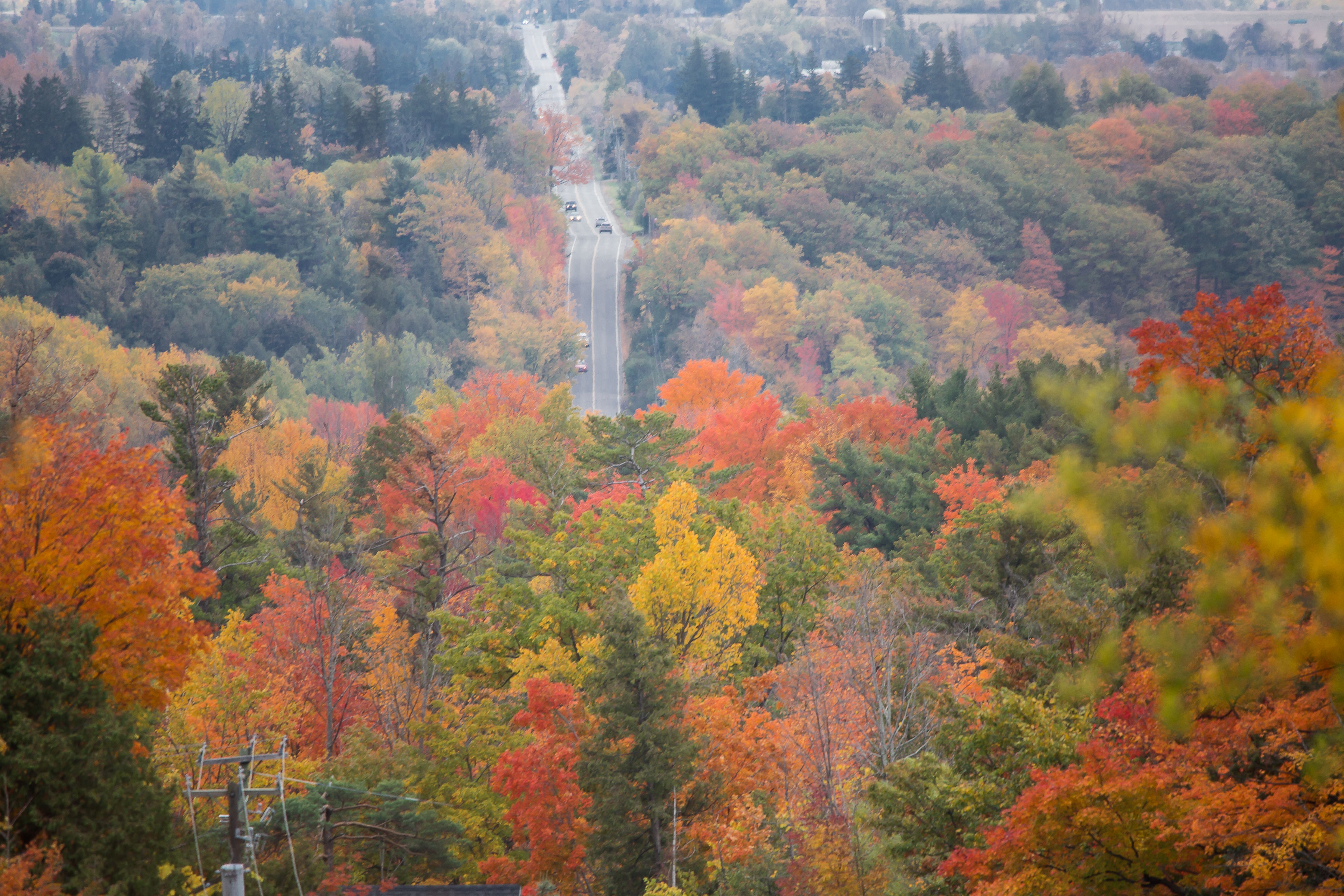 a wide view of fall colours and a road in the background