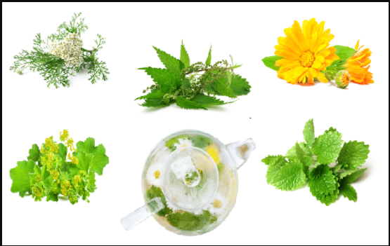 FertiliTea 1
