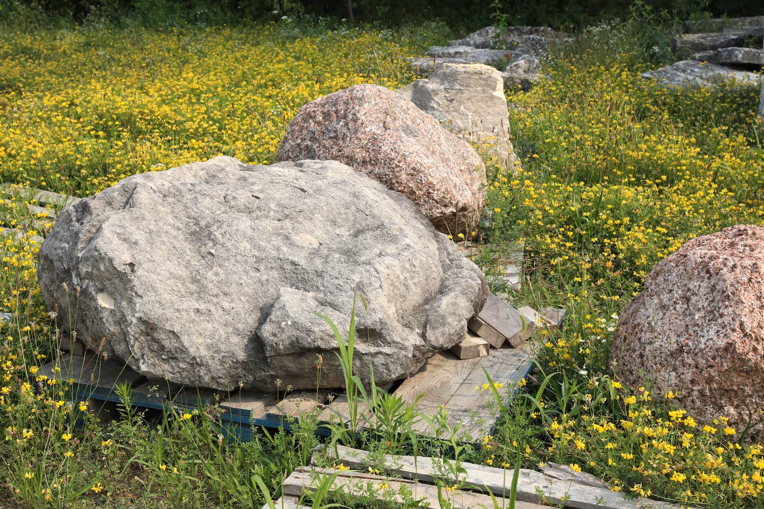 Granite Boulders 24" - 36"