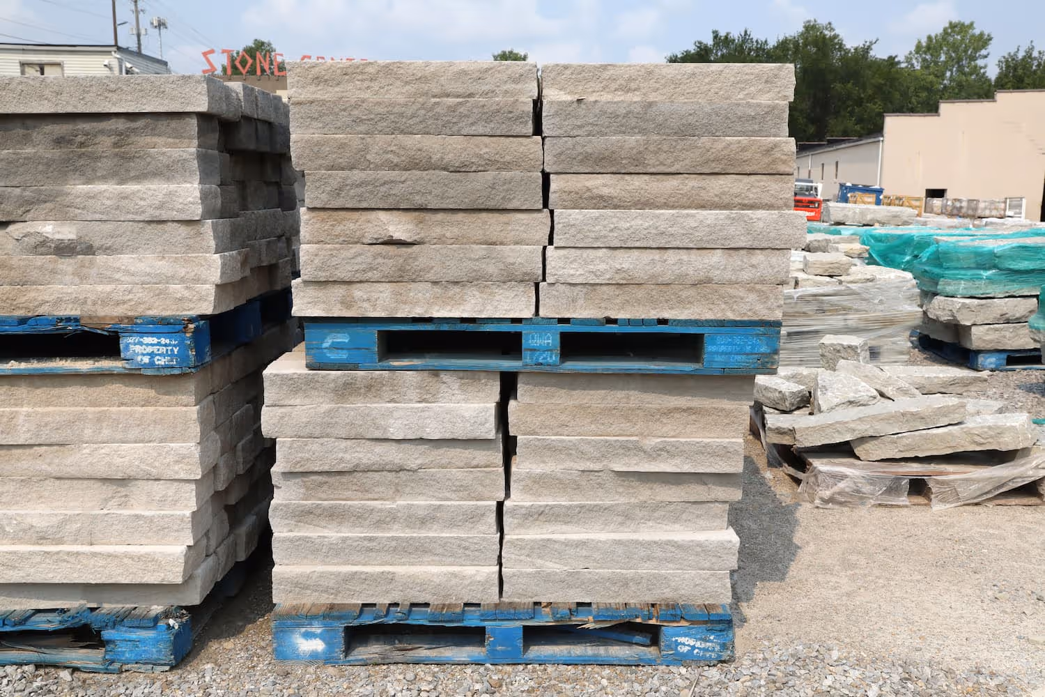 Jurrassic 6 inch on pallets