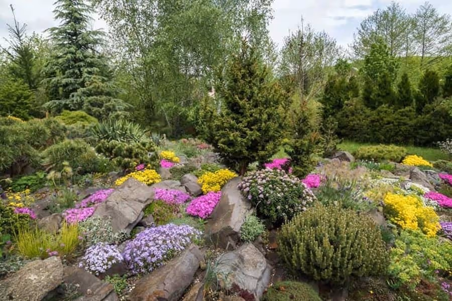 Shape Flower Beds