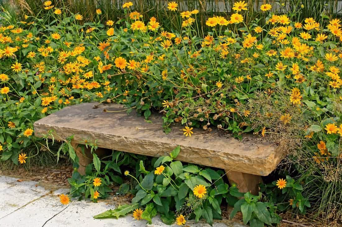 flagstone Seating Area