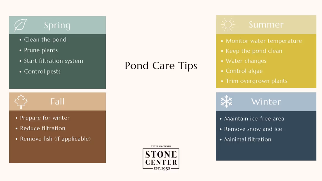 pond care tips