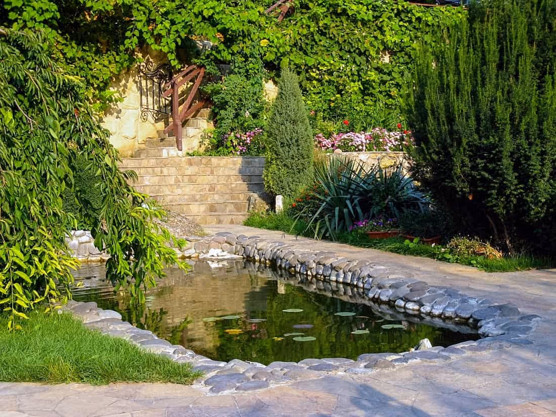 Rectangular Pond