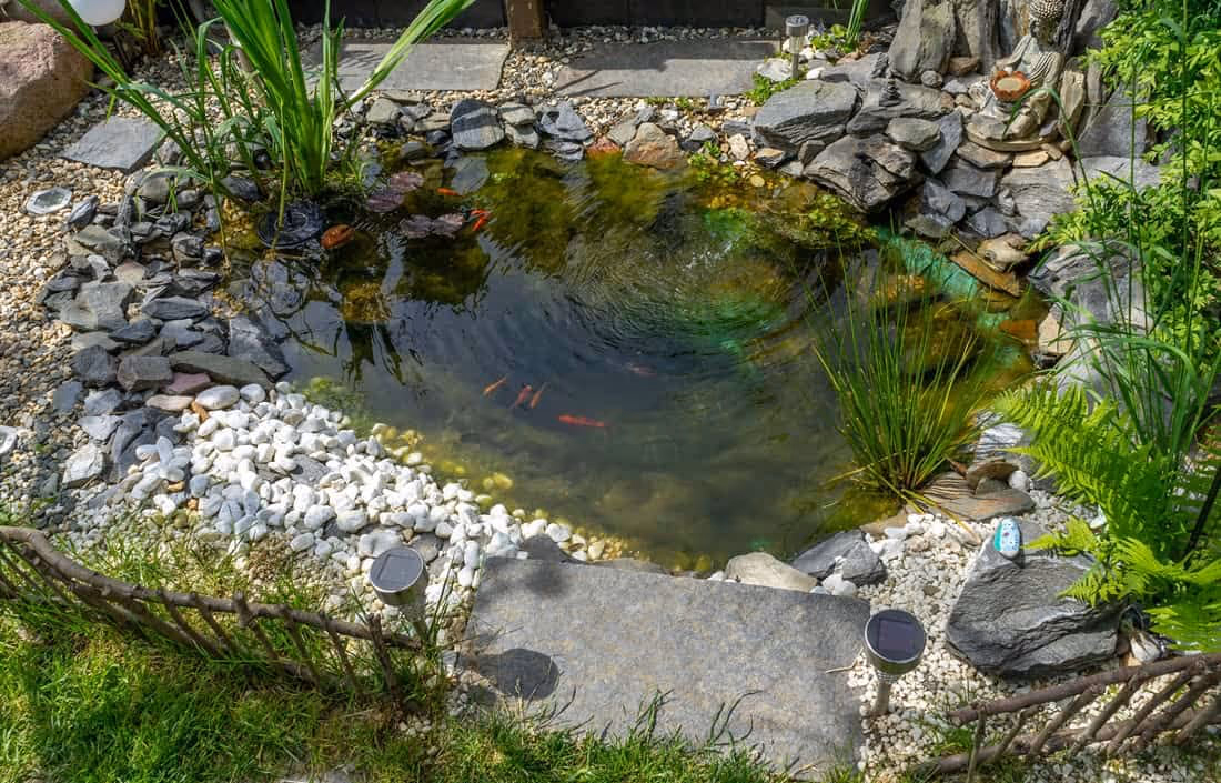 Round Pond