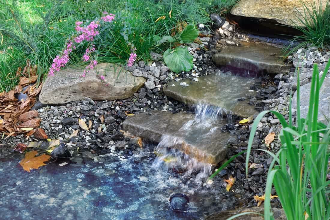 Waterfall Pond