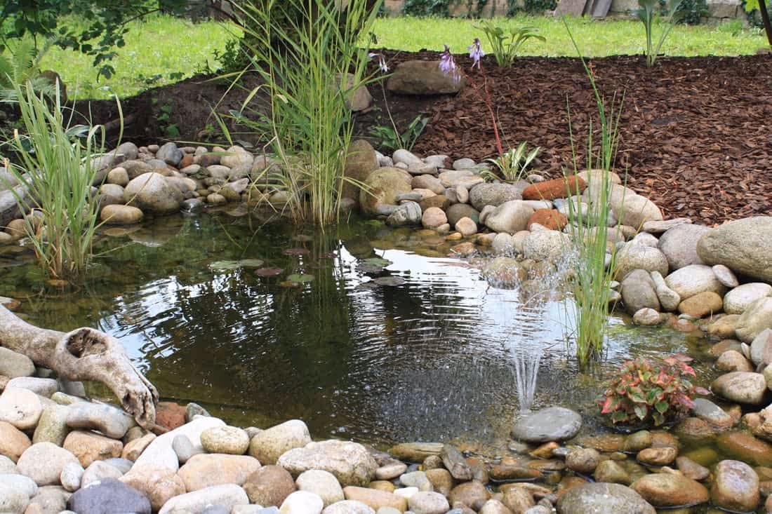 Pebble Pond