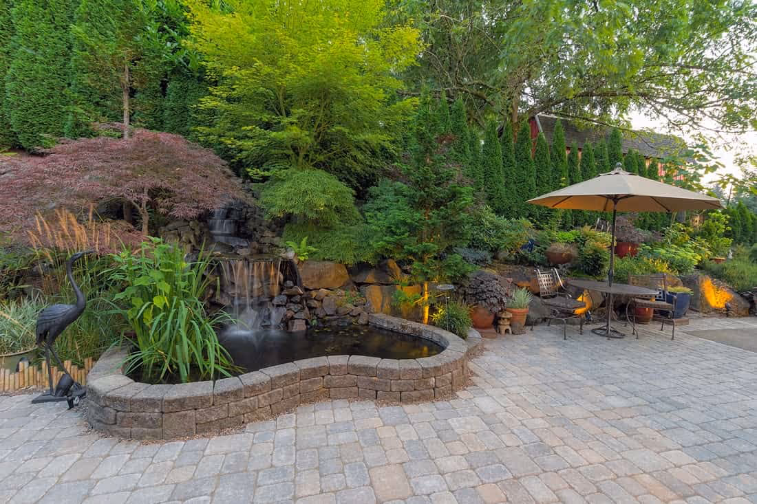 Patio Pond