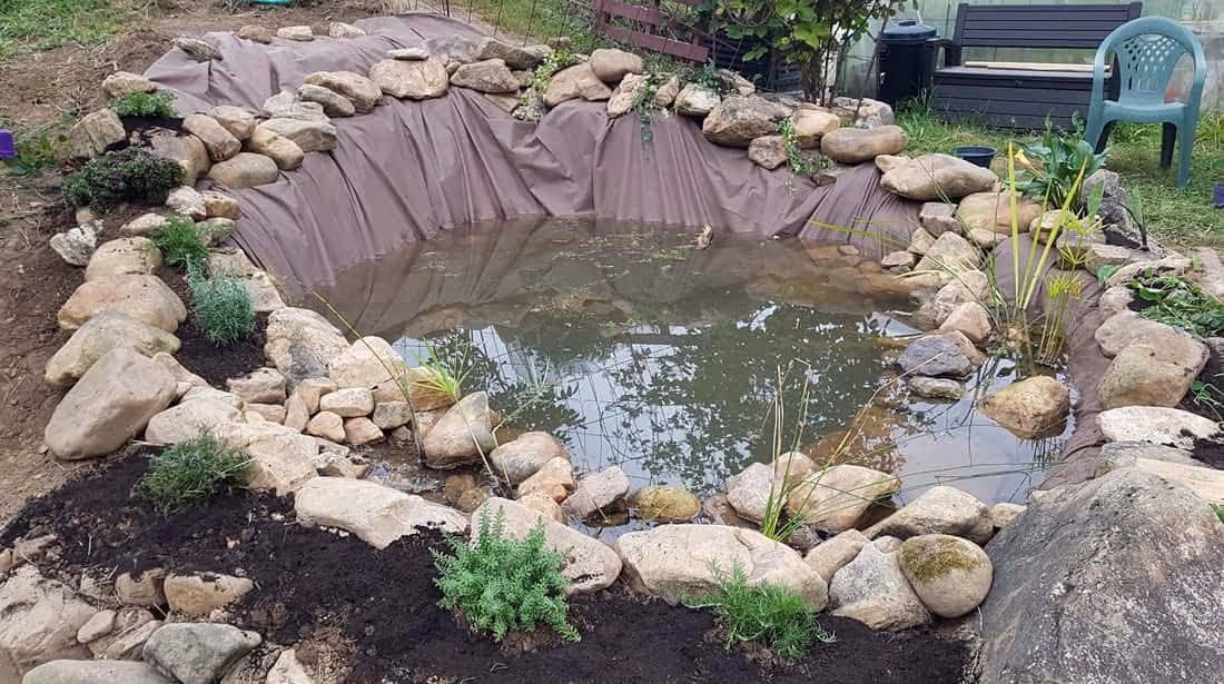 In-Ground Pond