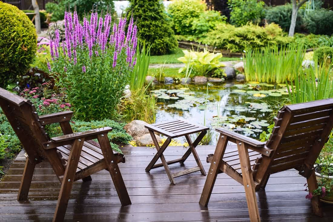 Flower Bed Pond