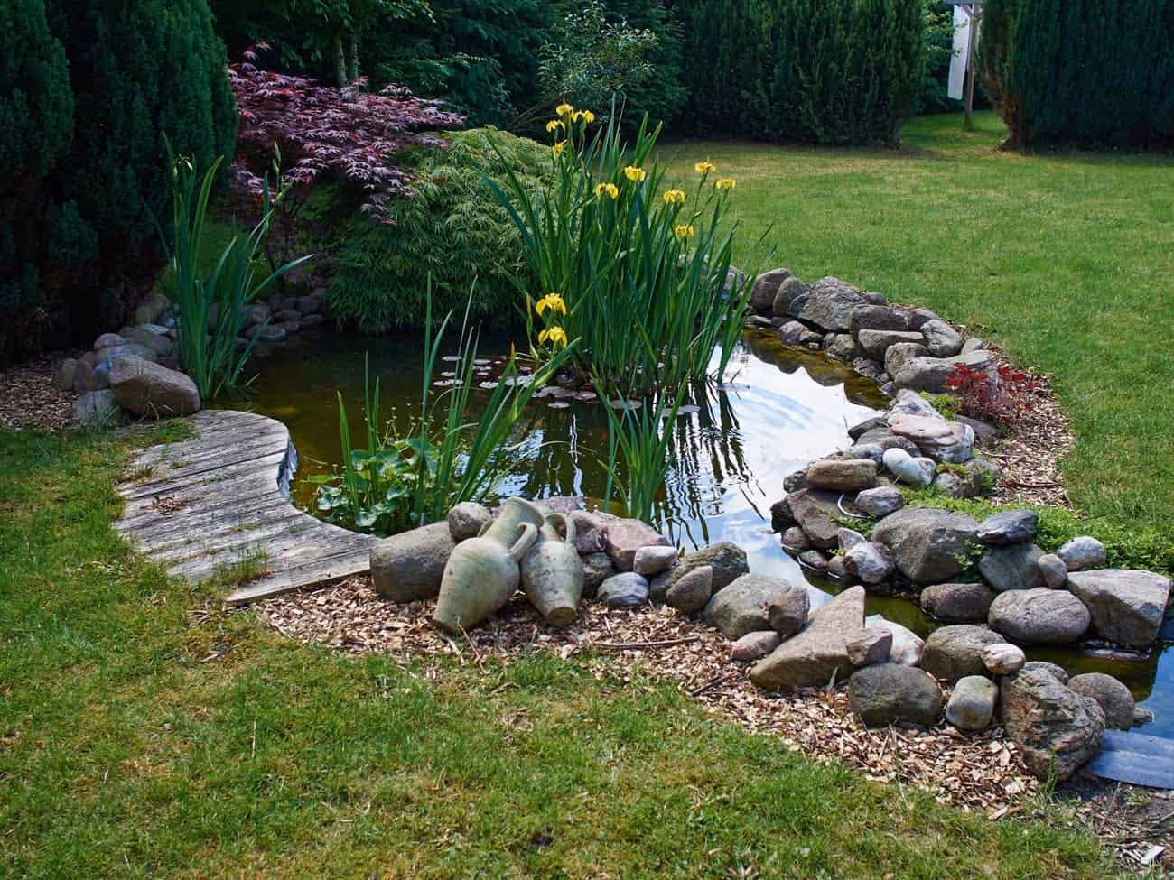 9 Ideas to Make Your Backyard Pond Dream into Reality