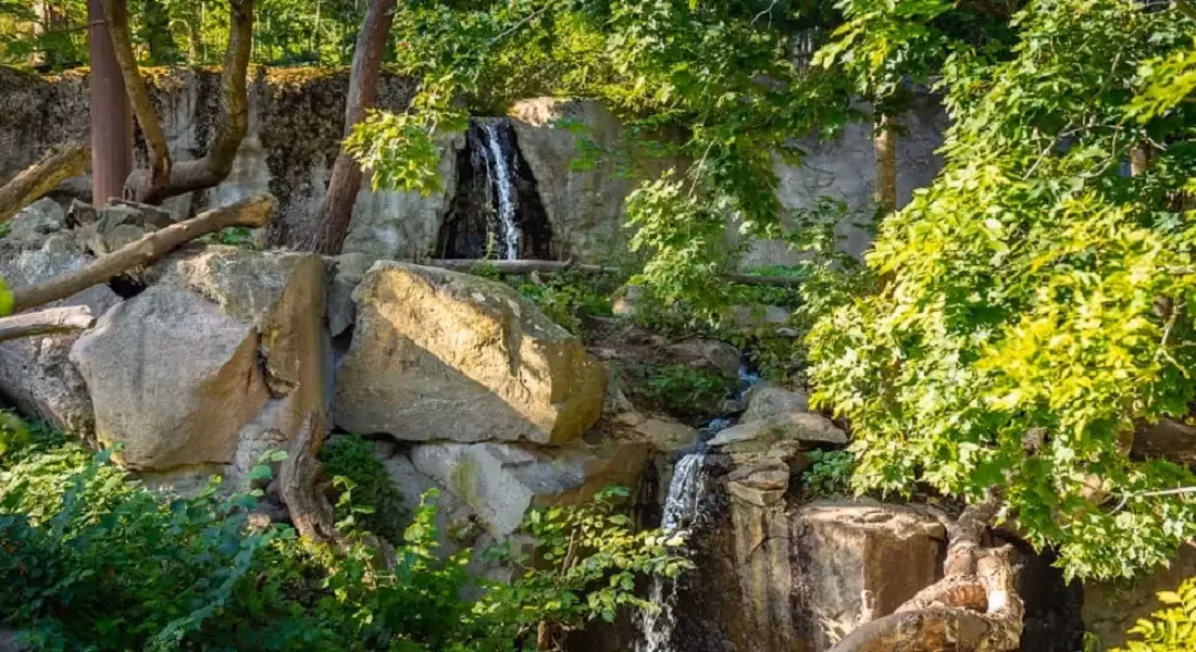 natural pondless waterfall in the backyard