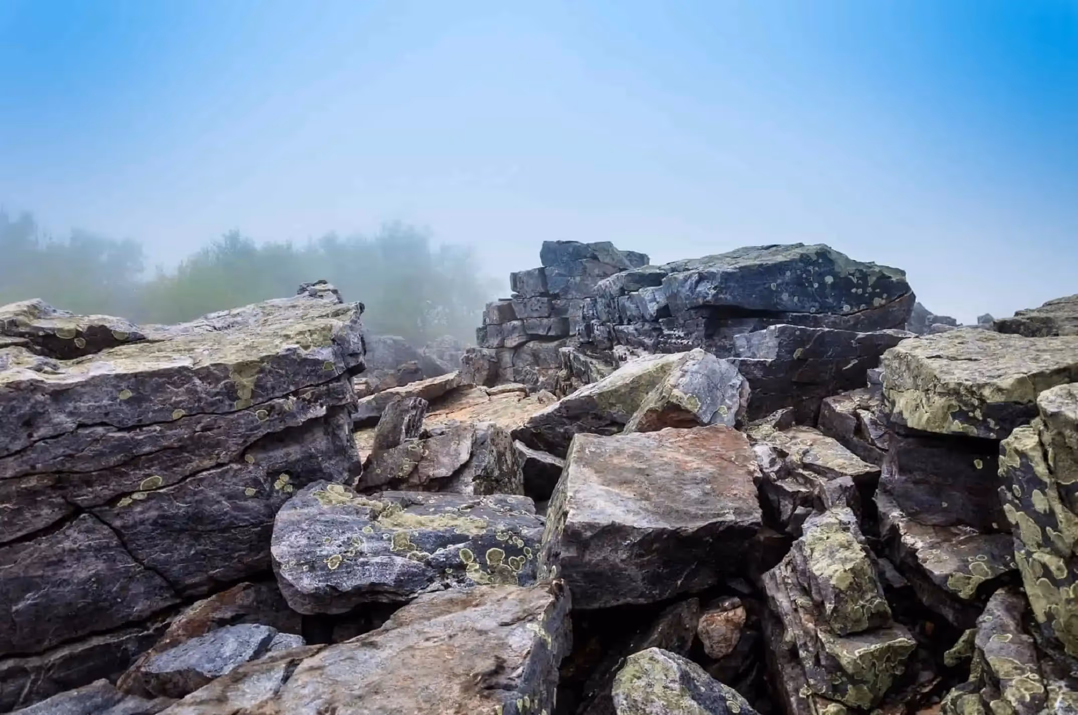 What Is the Cheapest Rock for Landscaping?