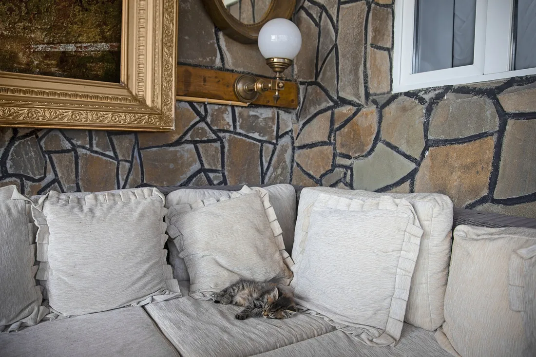 Living Room Features