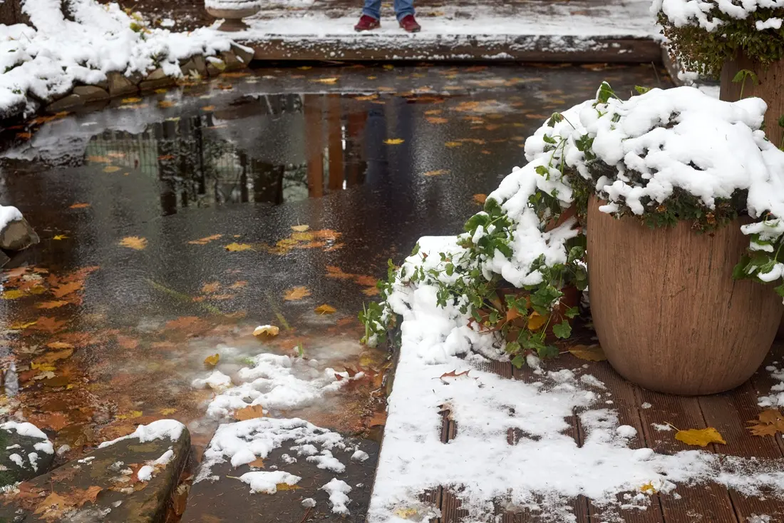 Frozen Pond in the Garden in Winter