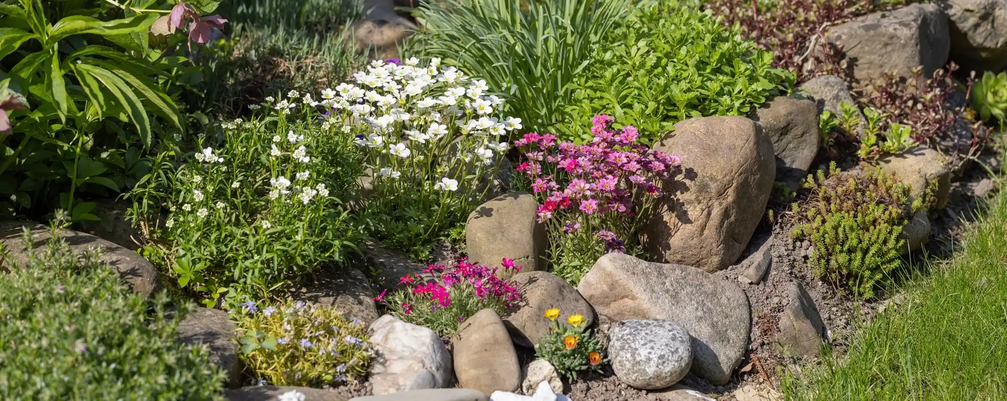 Inspiring Landscaping with Natural Stone: 15 Ideas for Your Yard