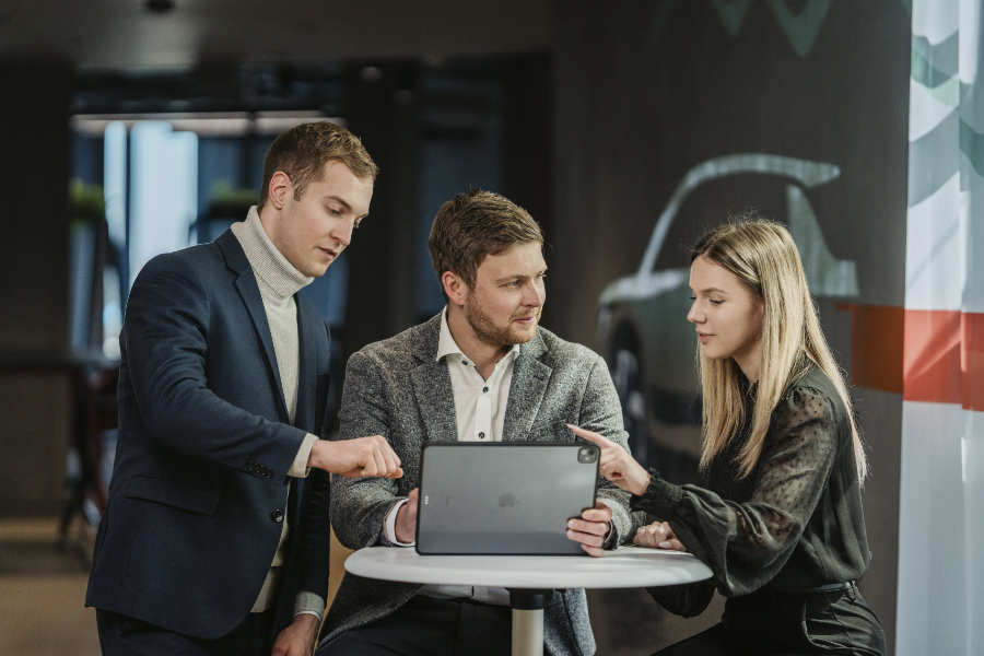 Consulting team – Young professionals