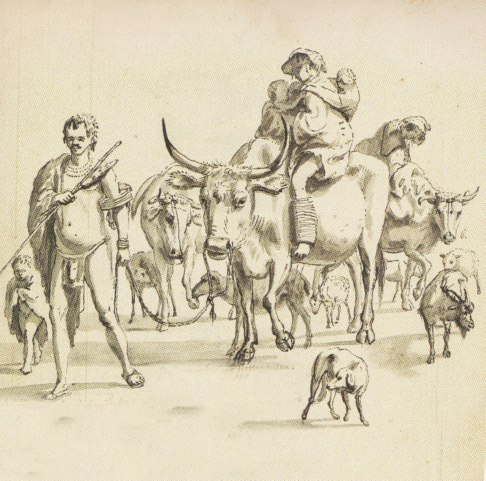 Professor  Andrew Smith    The Archaeology of the Khoekhoen   4 July 2019