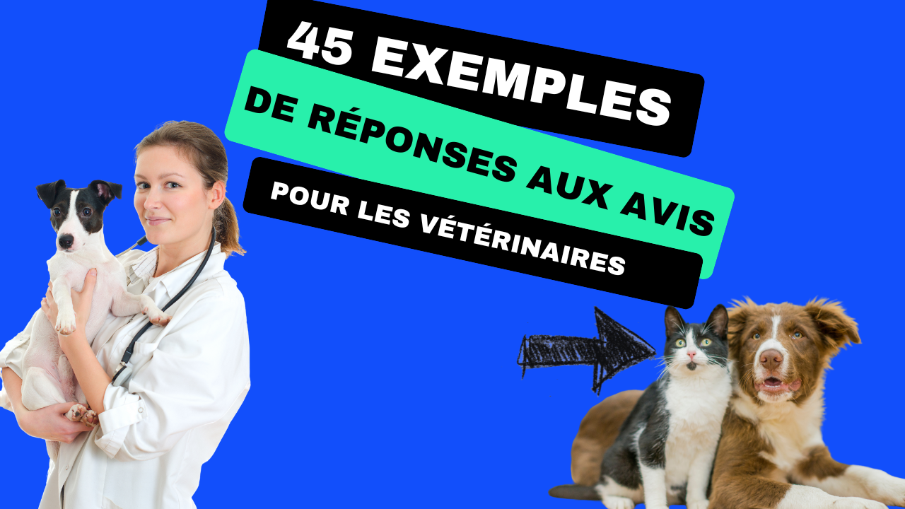Vétérinaires : +45 modèles de réponses aux avis