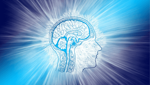 Younger generations are more intelligent than the previous ones.