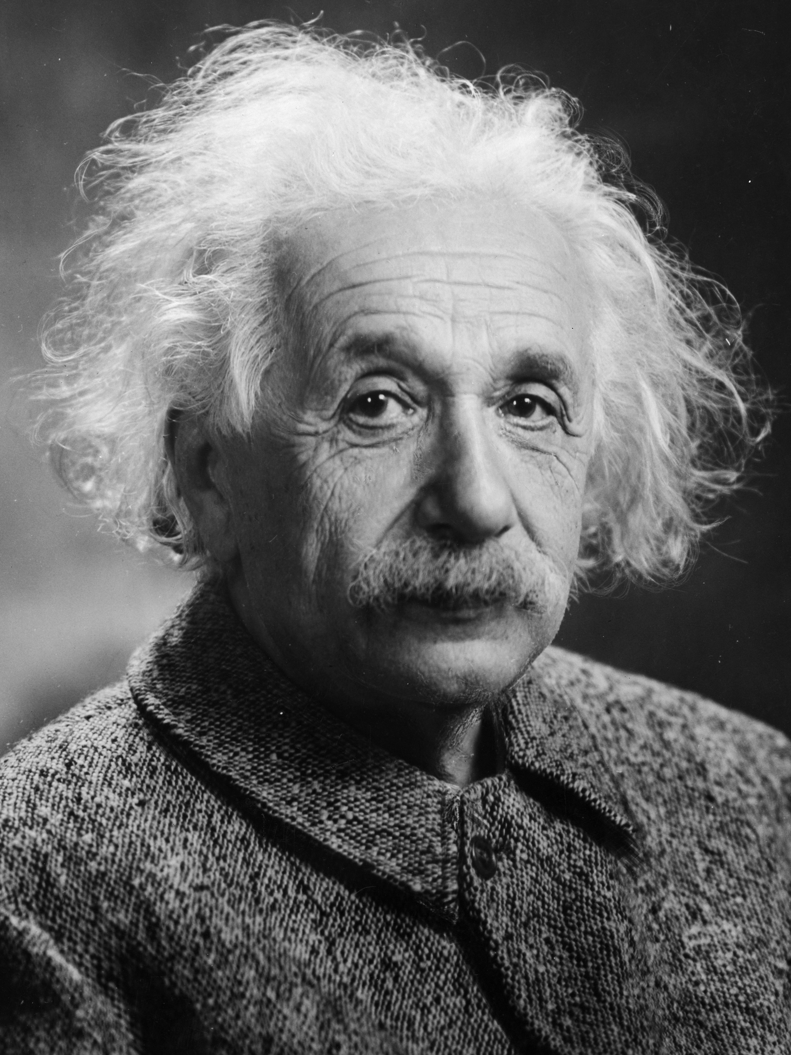 Albert Einstein What is the IQ
