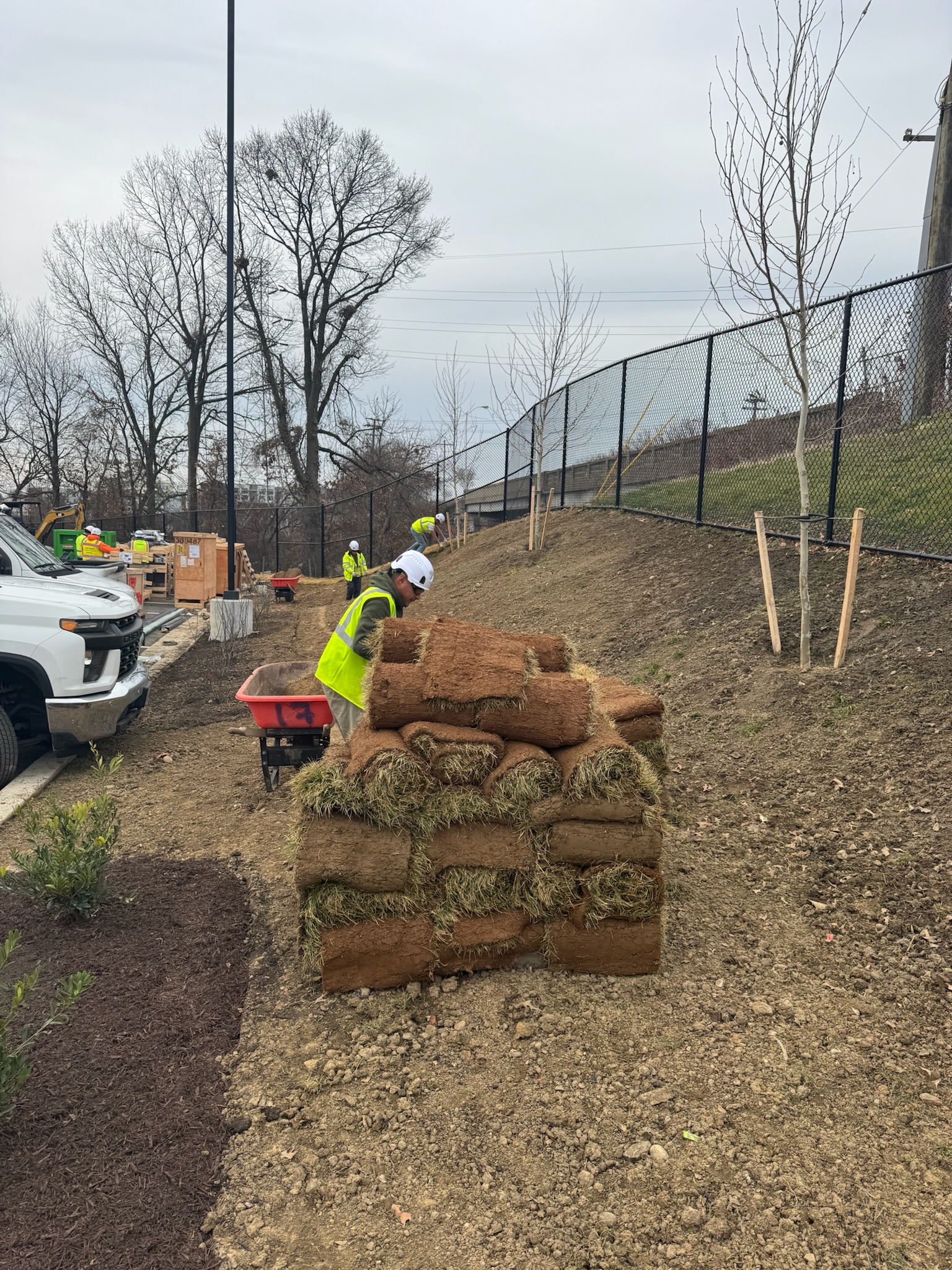 James River Nurseries commercial landscape construction at CarMax Park in Richmond VA