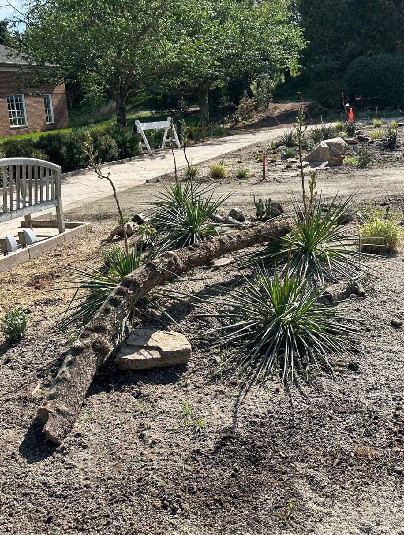 Plants staged for landscape installation by James River Nurseries at Lewis Ginter Botanical Garden in Richmond Virginia