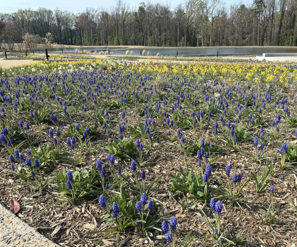 James River Nurseries team touring sustainable landscape installations at Lewis Ginter Botanical Garden in Richmond Virginia
