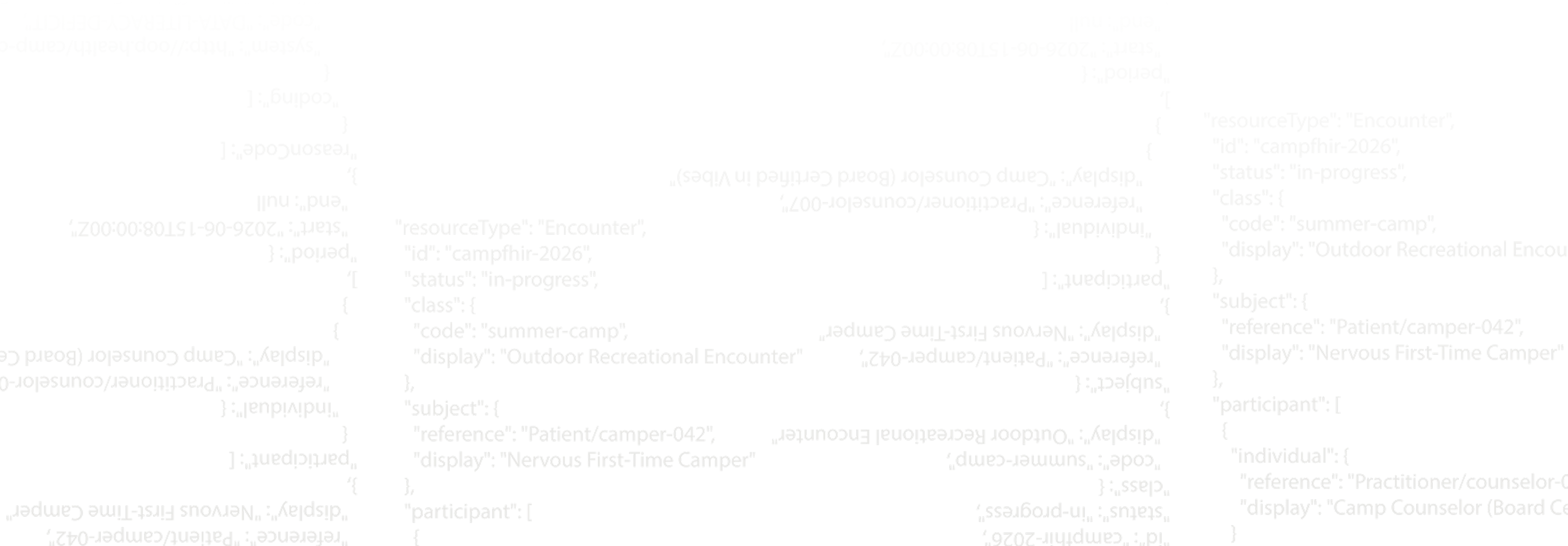 Black background with white text showing a snippet of JSON code defining a 'participant' object with a camp counselor reference and a period start date in 2026.