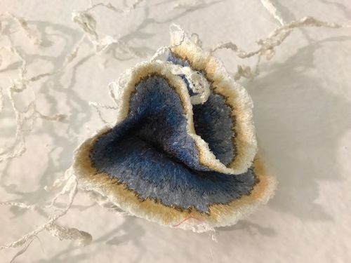 Those Pesky ‘Shrooms | detail