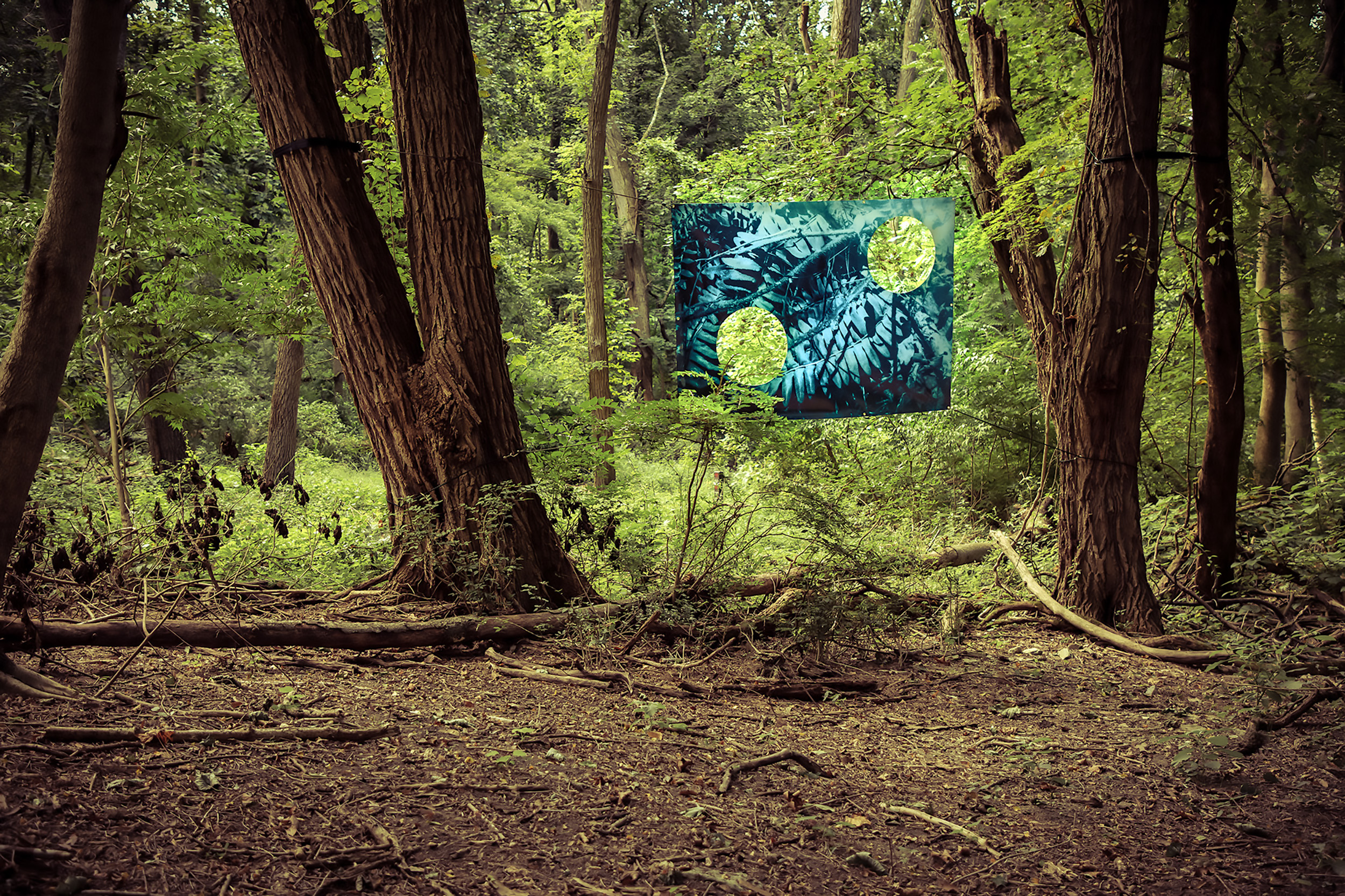Monument _ Ecosystem4.jpg / Large scale photographic banners (5ft x 7ft) Dimensions vary