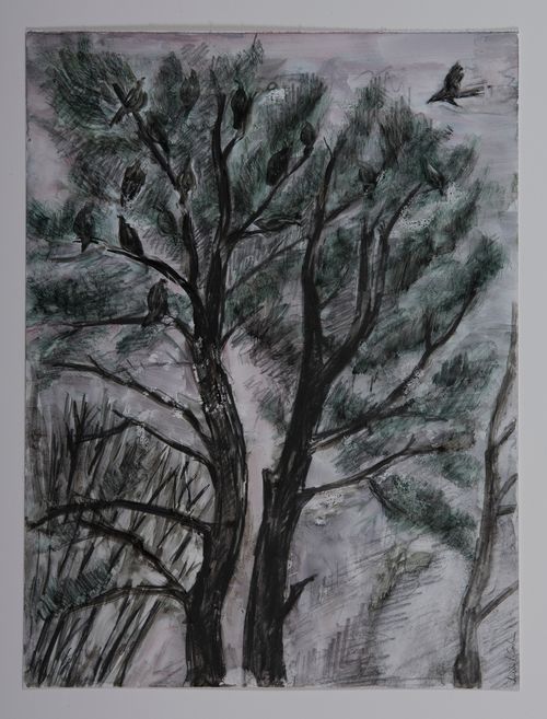 “Old Pine with Vultures” 2020, watercolor and graphite on Yupo paper, 12″ x 9″
