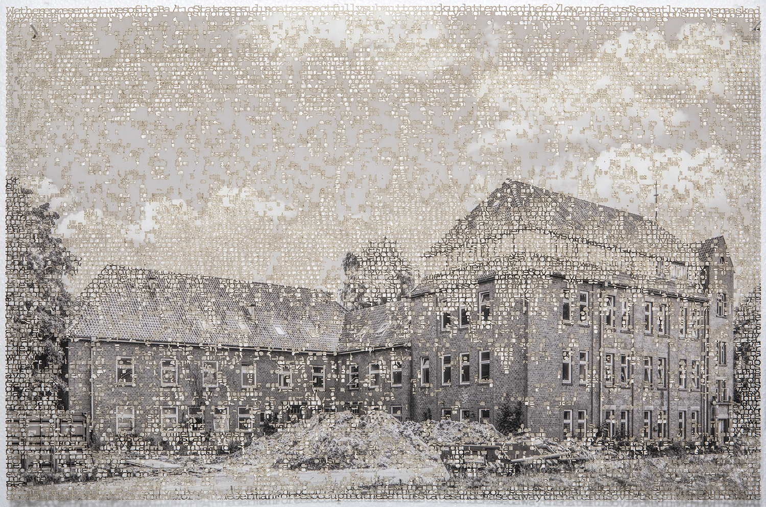 “Emden l” 2020, laser-cut pigment print, 14 x 21 inches