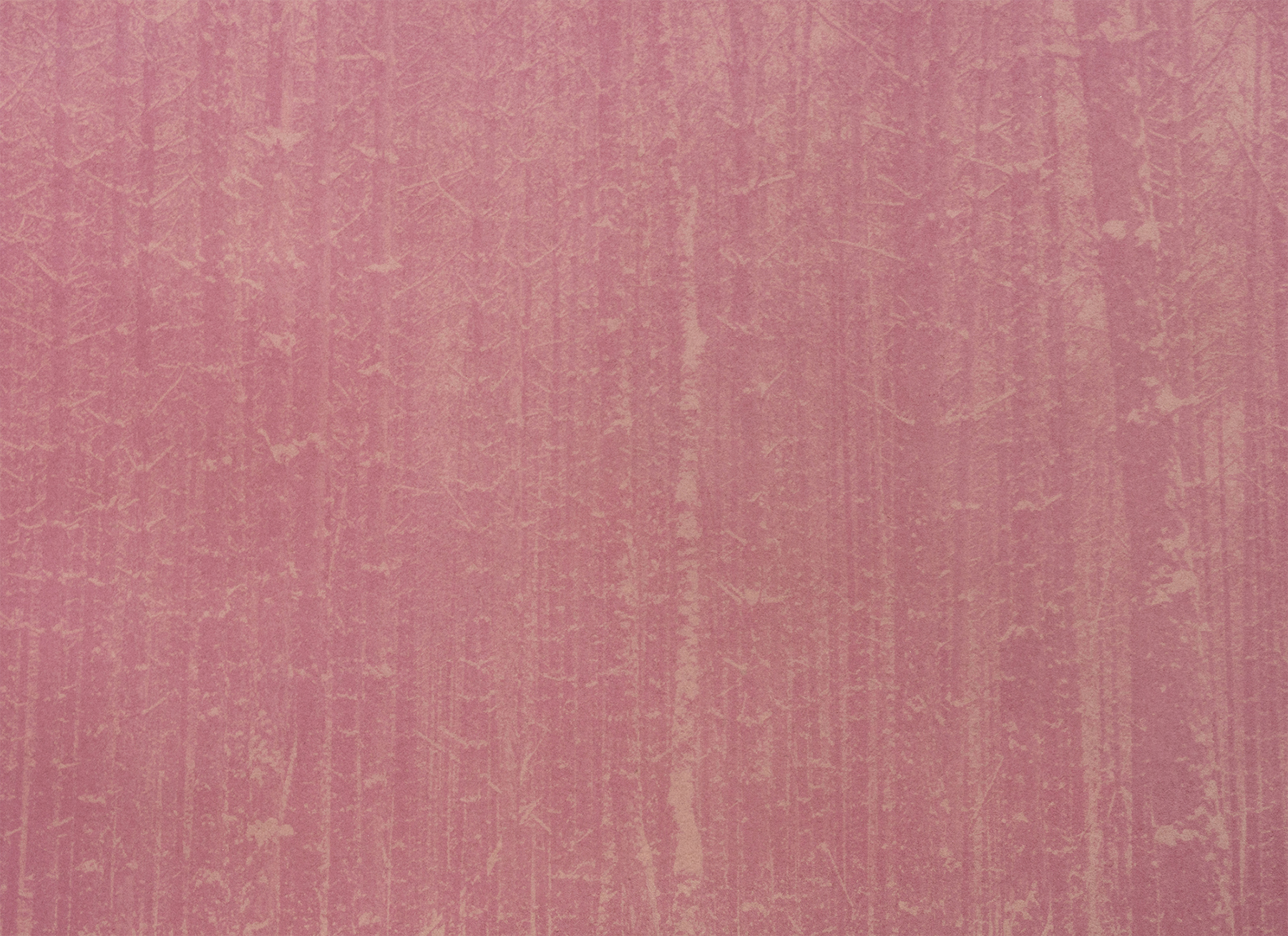 “Partisan 8” 2025, pigment print of beet anthotype, 8.5 x 11 inches