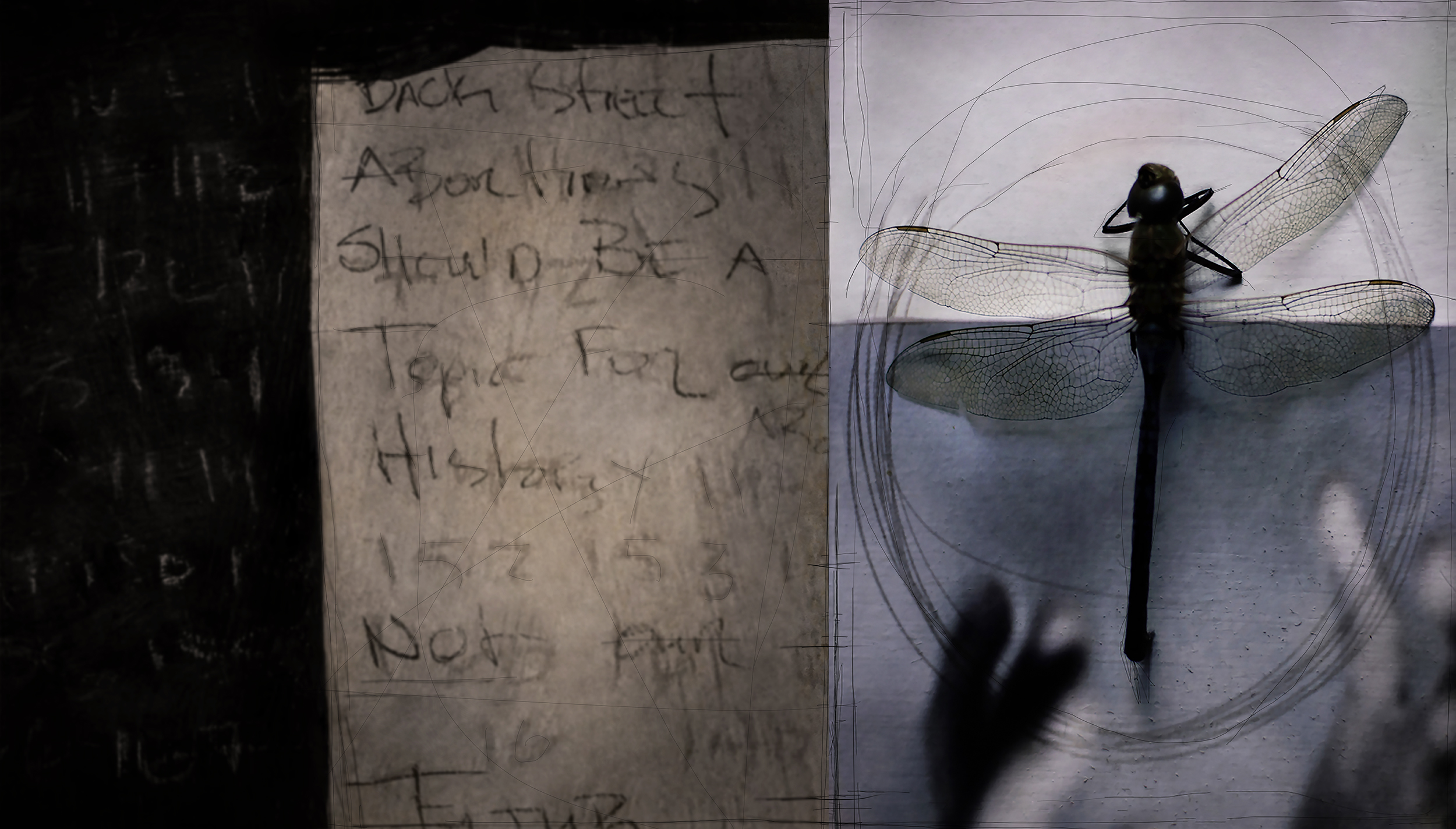 "To Live For A Day" mixed media on canvas, 18 x 30 inches 