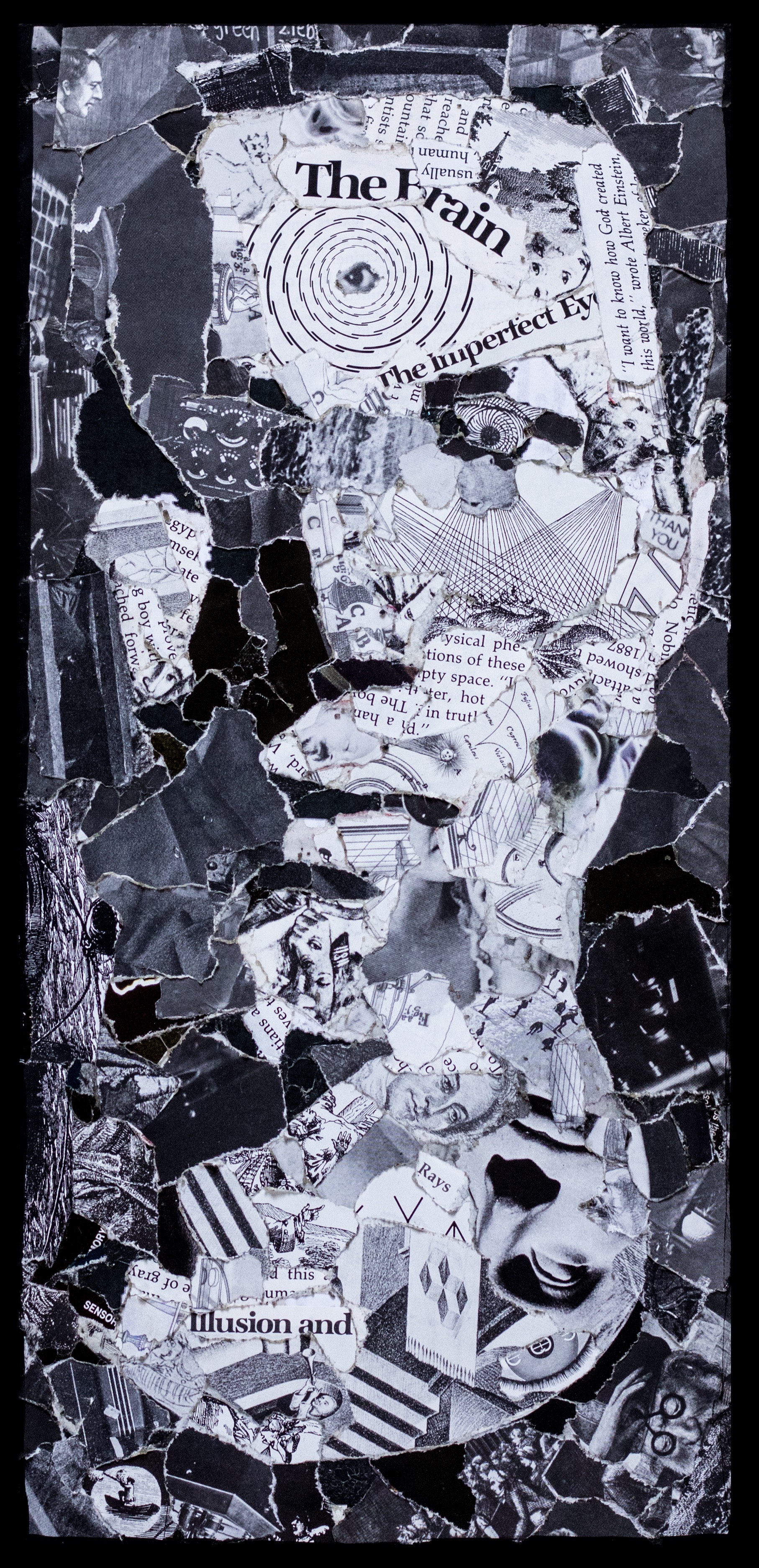 "Usually Human" 2017, collage on canvas, 14" x 17"