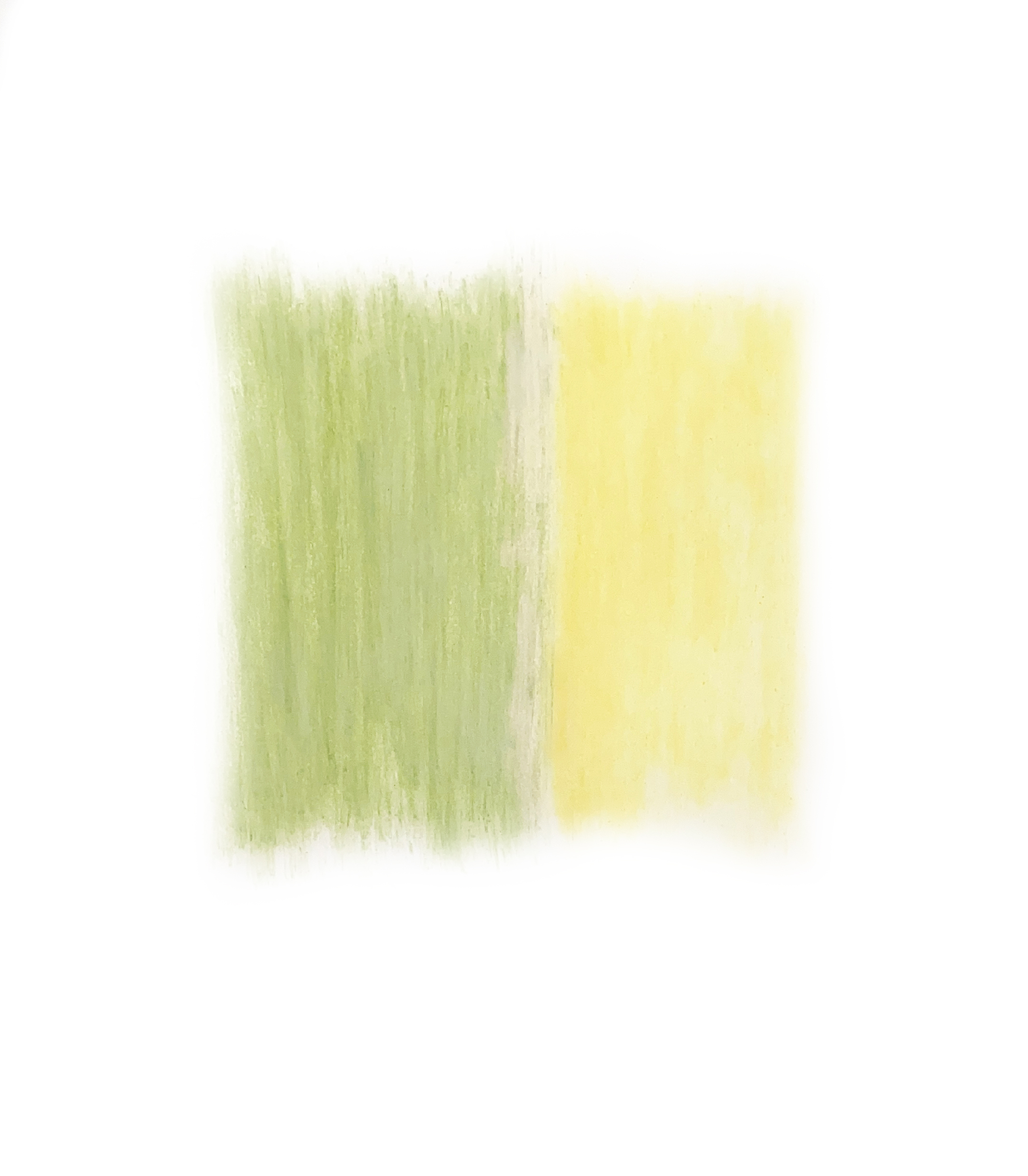 “Orange Begonia and Yellow Pansy” Flower Petal Stain, 37" x 28"