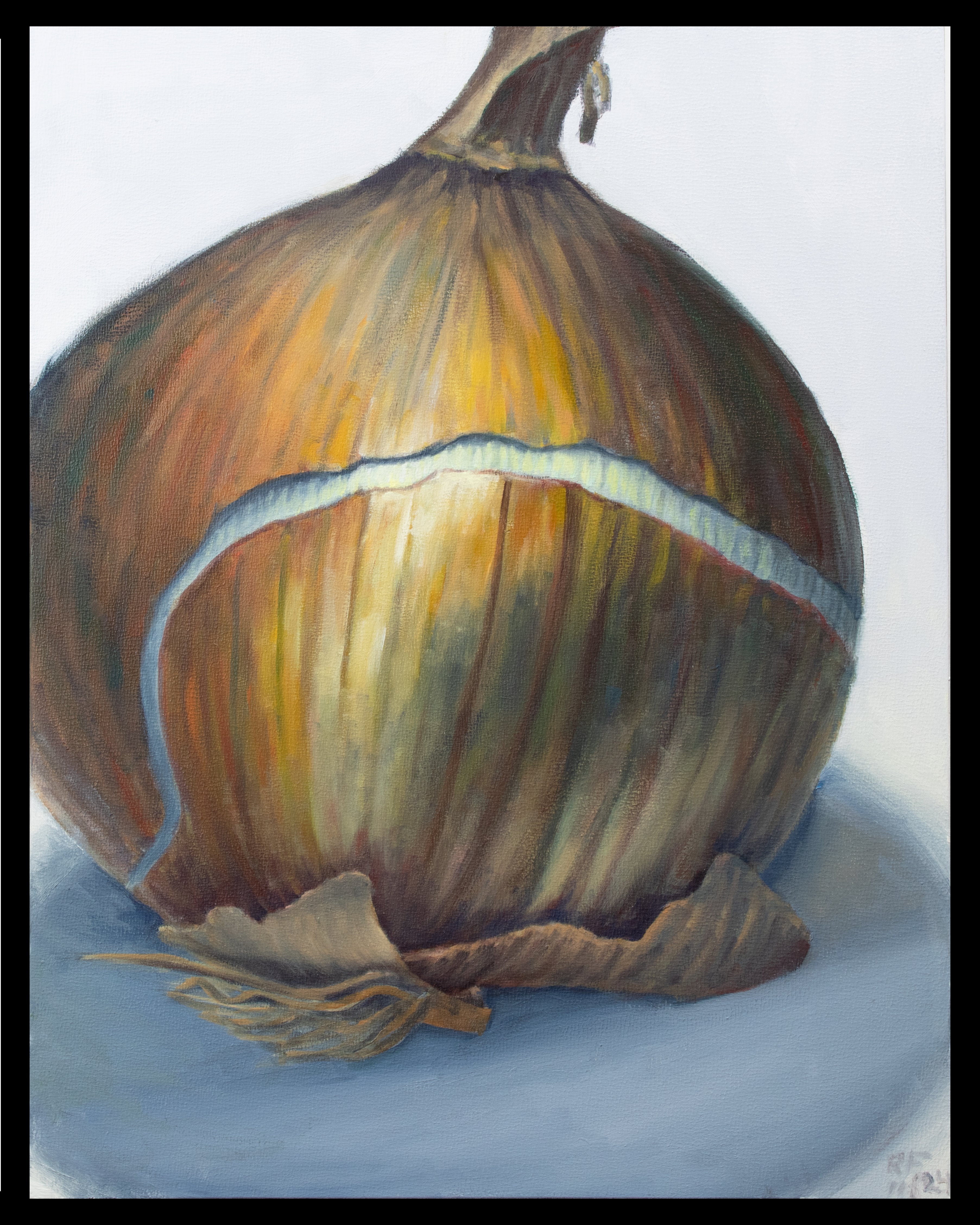 “Yellow Onion” Oil on canvas panel, 11” x 14”