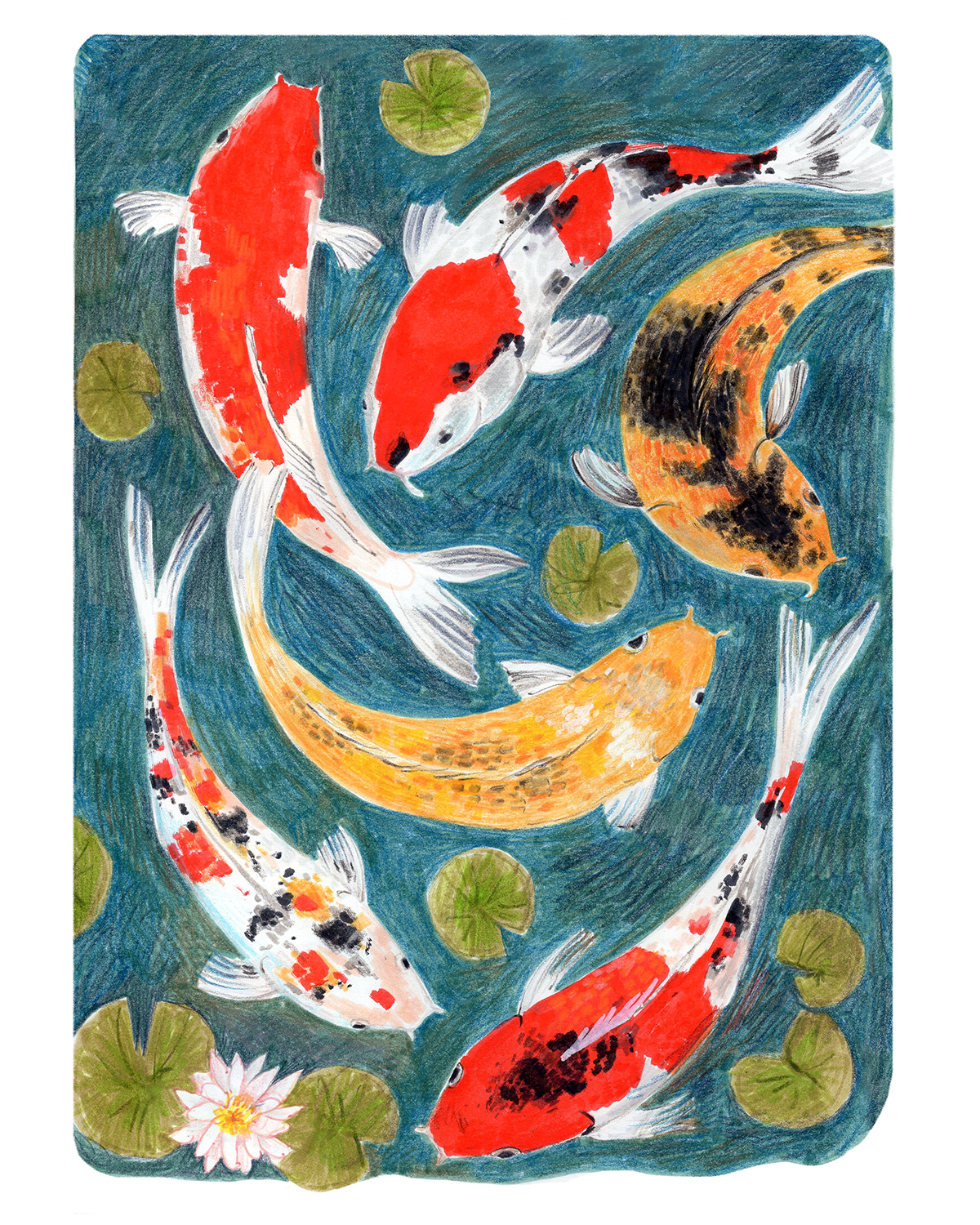 “Koi Fish” 2025, drawing, marker and colored pencil on paper, 8” x 10” 