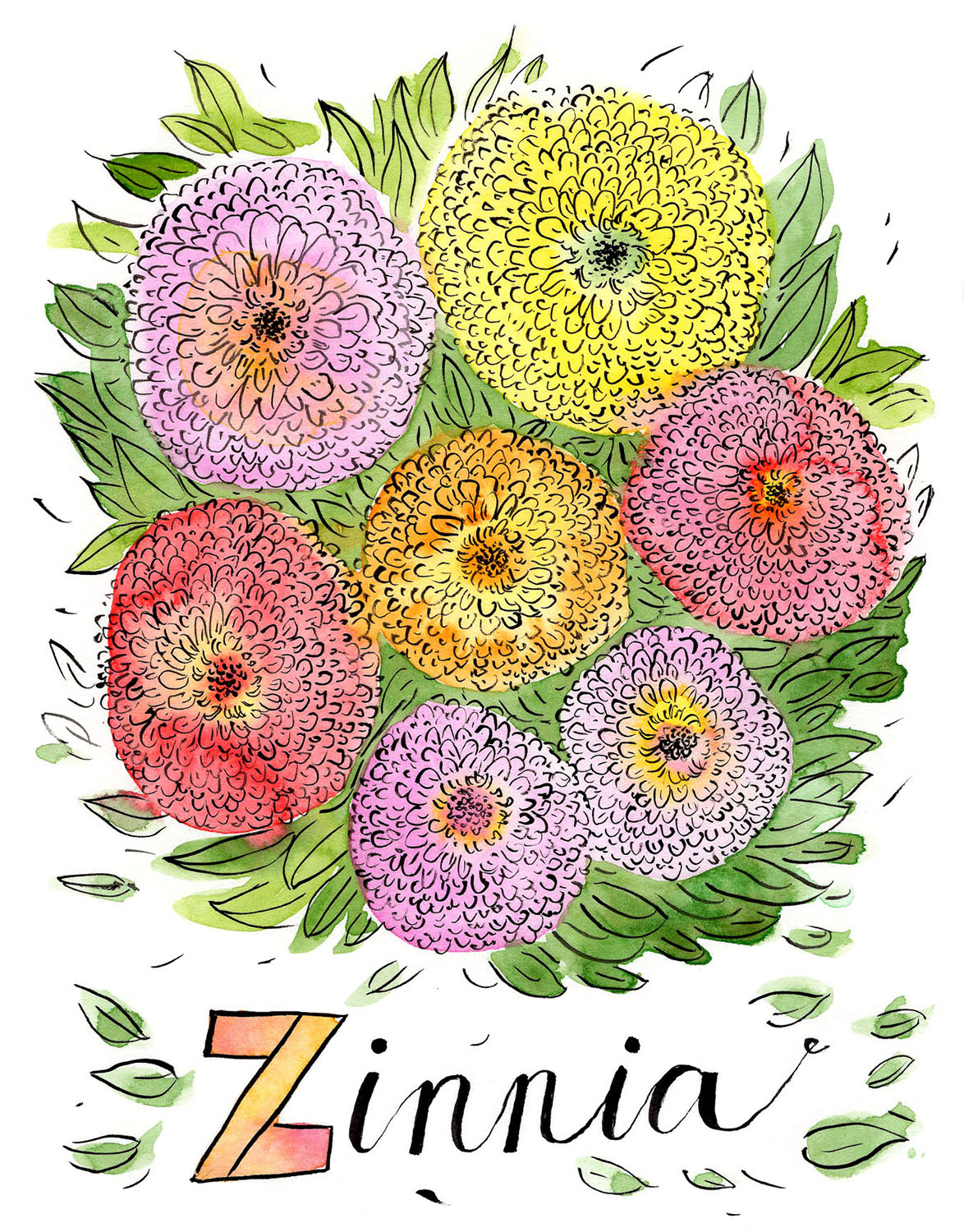 “Zinnias” 2023, painting, watercolor and ink on paper, 6” x 8” 