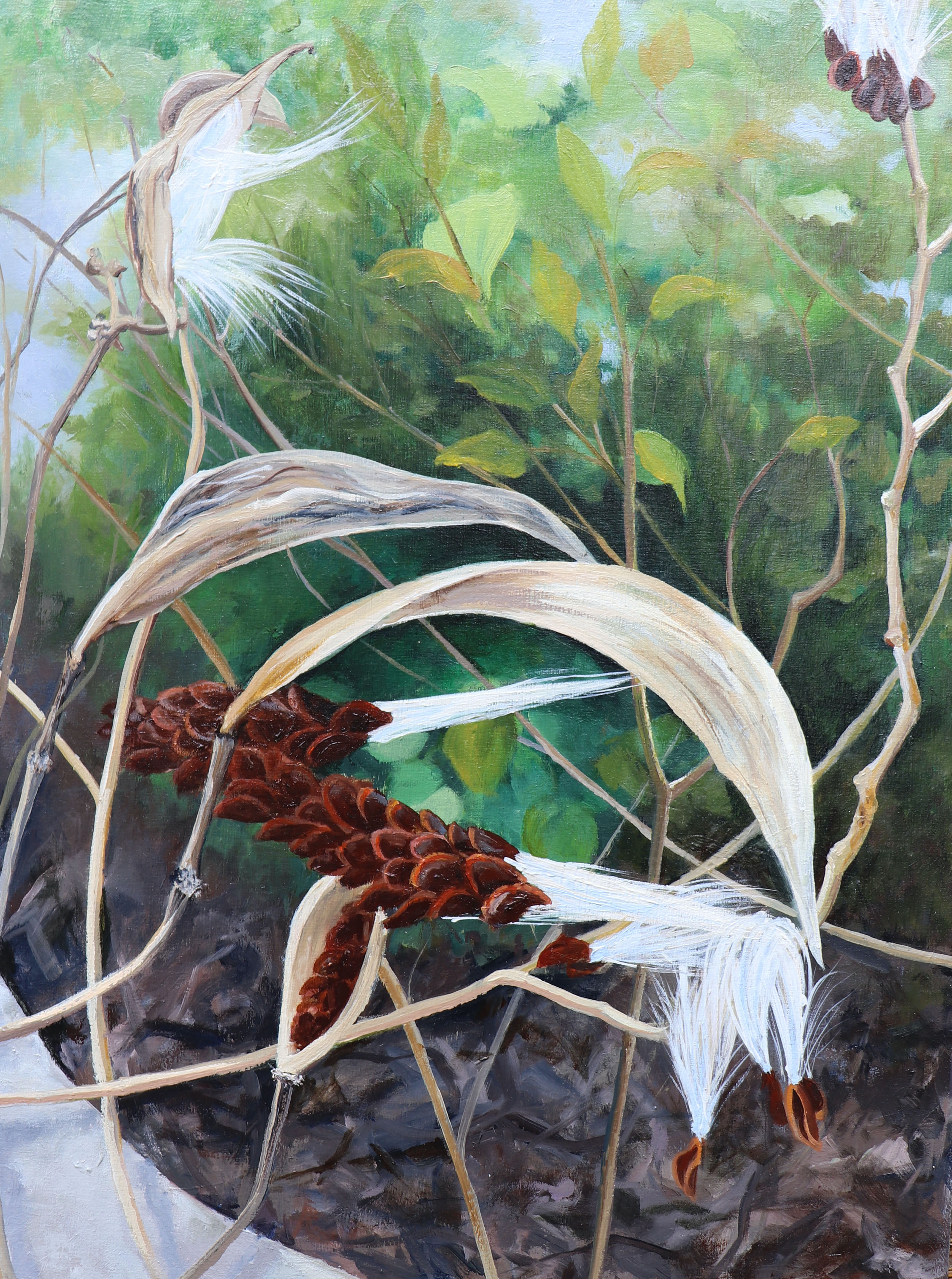 Milkweed, painting, oil on wood, 20” x 16”