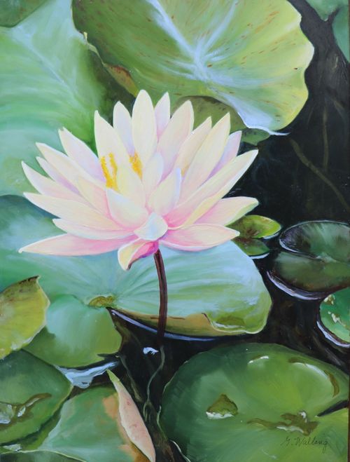 Water Lily, painting, oil on wood, 12” x 9”