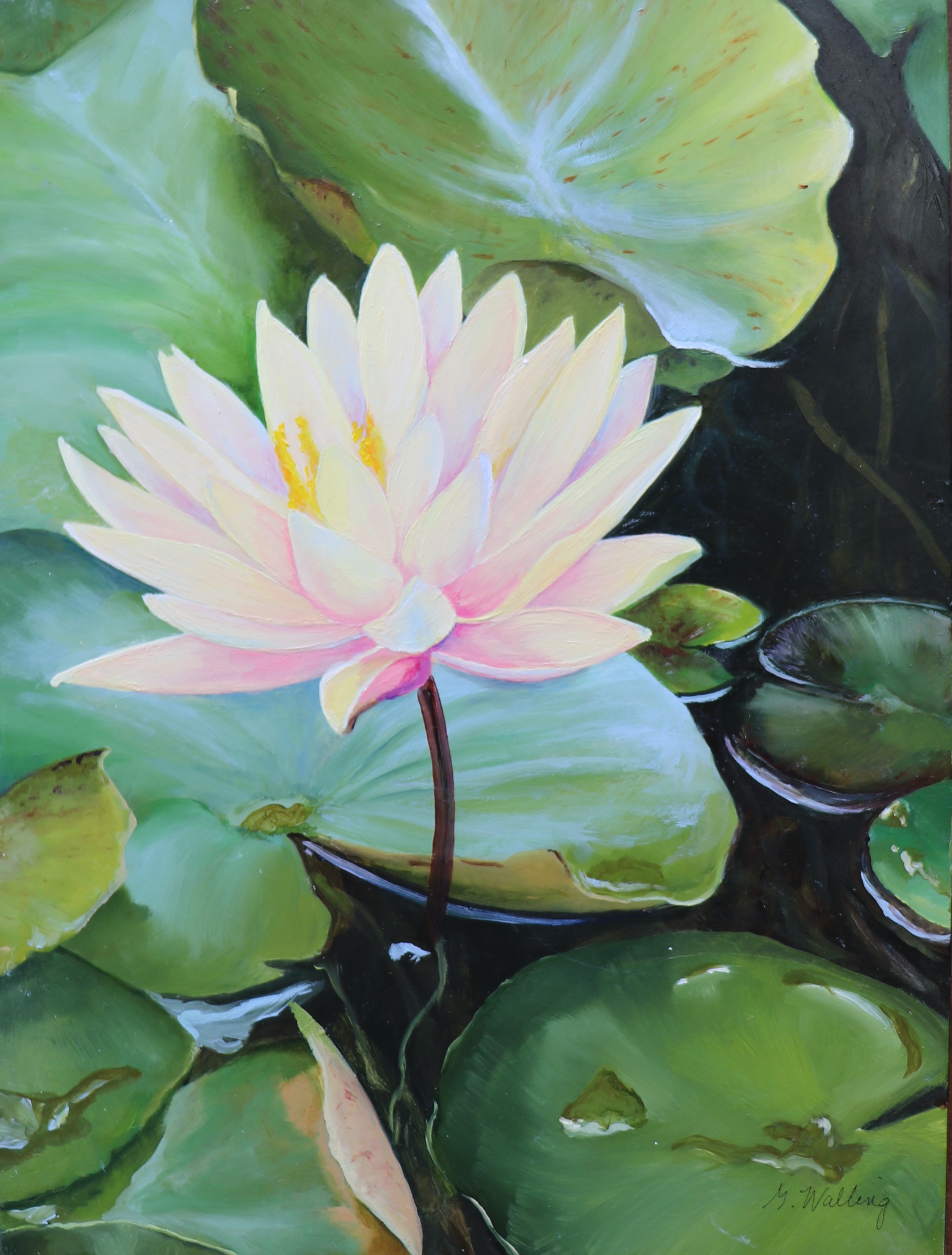Water Lily, painting, oil on wood, 12” x 9”